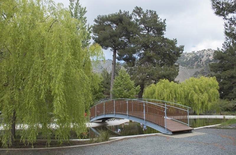 Ботанический сад Троодоса на высоте 1400 метров над уровнем моря