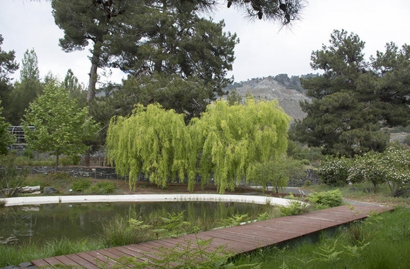 Ботанический сад Троодоса на высоте 1400 метров над уровнем моря