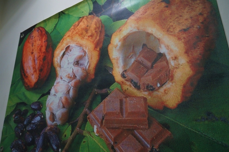 Cyprus Chocolates- рай для сладкоежек