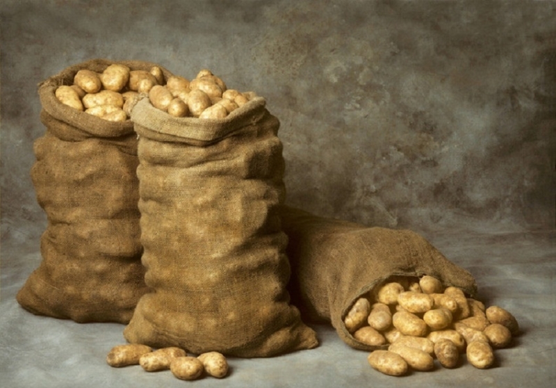 Урожай картофеля на Кипре оказался под угрозой