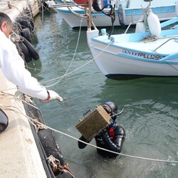 Дайверы чистят рыбацкую бухту в Айя-Напе