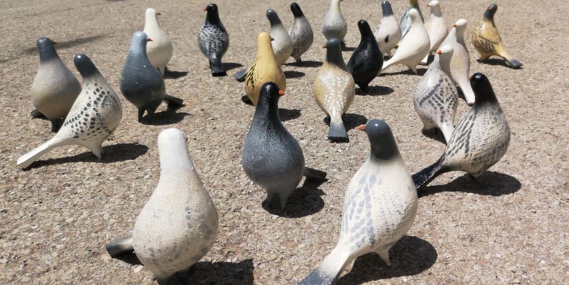 Кипрская художница создала птиц, символизирующих надежду, мир и свободу
