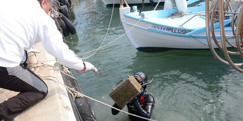 Кипрские дайверы достали со дна моря клад, за который стыдно