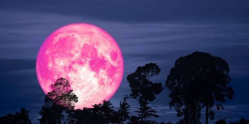 Сегодня ночью над Кипром взойдет Розовая Луна