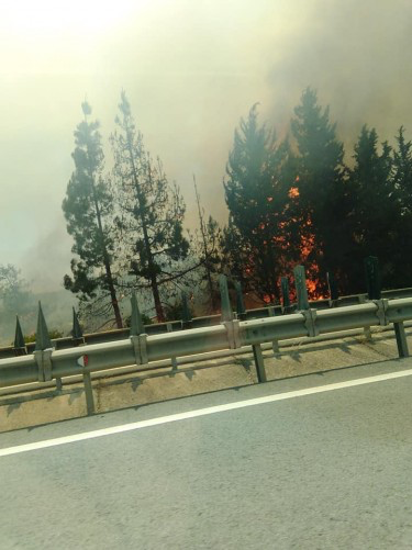 На трассе Никосия-Лимассол произошёл крупный пожар