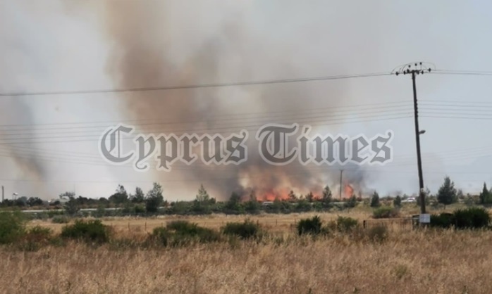 Полиция Кипра задержала поджигателя участка рядом с центром беженцев