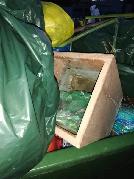 В Ларнаке живых котят выбросили в мусорный бак, упаковав в полиэтиленовый пакет