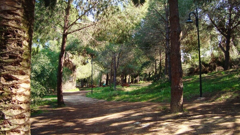 Общественность Кипра против строительства дороги на территории Парка Аталасса