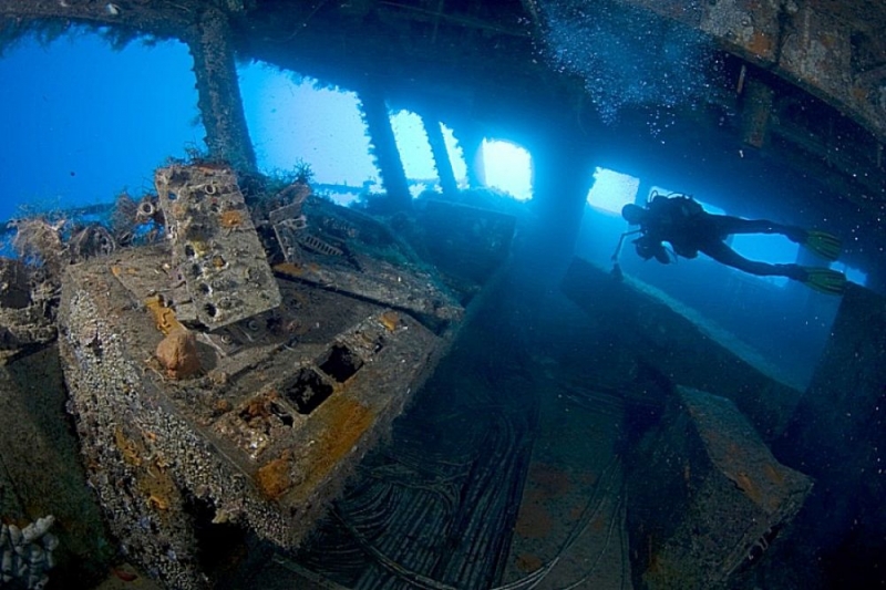 
Подводный юбилей: «Зенобии» исполнилось 40 лет
