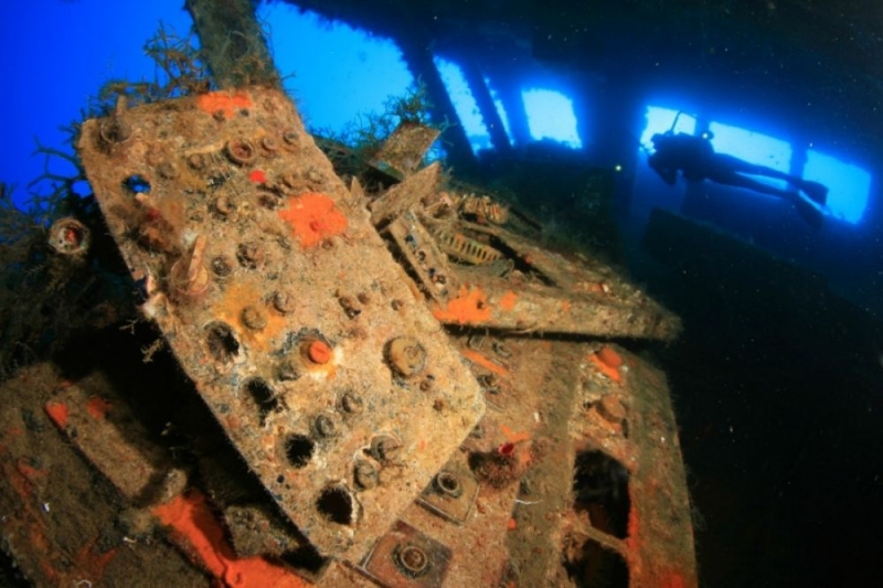 
Подводный юбилей: «Зенобии» исполнилось 40 лет
