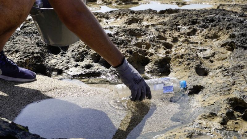 В ходе уборки пляжа на Кипре активисты собрали 72 килограмма мусора