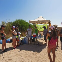 Волонтеры собрали 72 кг мусора с пляжа в Айя-Напе