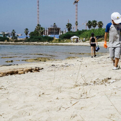 Волонтеры собрали 72 кг мусора с пляжа в Айя-Напе
