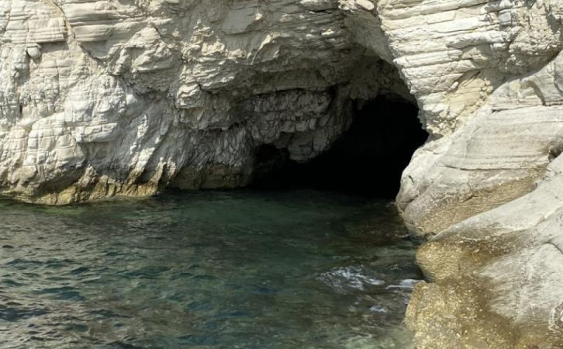 
Тюлени и летучие собаки получили новую пещеру
