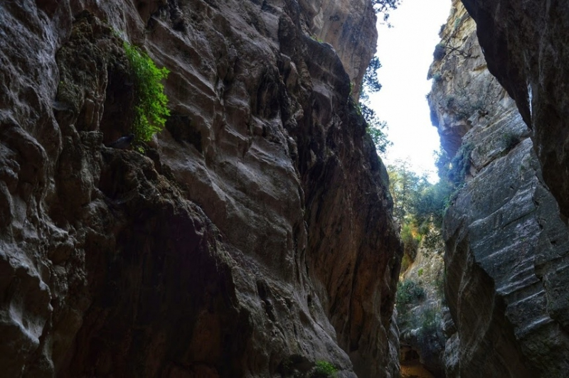 Ущелье Авакас. Avakas Gorge. Cyprus