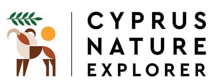 Афиша мероприятий на Кипре с 2 по 4 октября