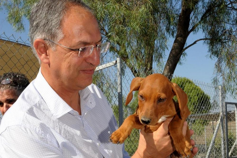 
Костас Кадис: животные нуждаются в нашей любви

