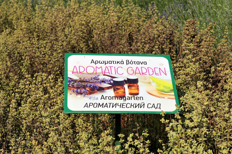 Cyherbia Botanical Park- Вдыхая аромат лаванды