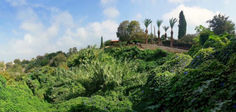 Лемба Парк - цветочный рай на Кипре, где запахи просто завораживают!