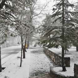 Первый снег на Кипре
