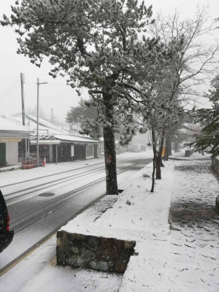 Ура! В Троодосе выпал снег