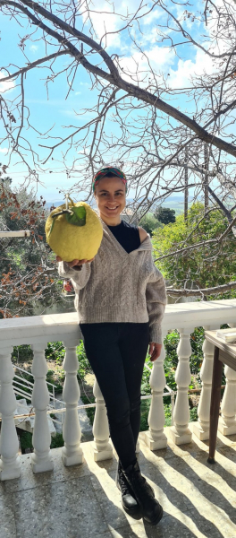 На Северном Кипре вырос гигантский лимон