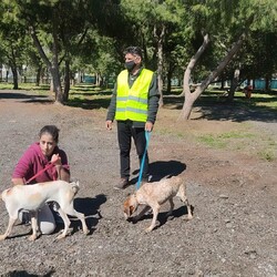 В Лимассоле появился новый собачий парк