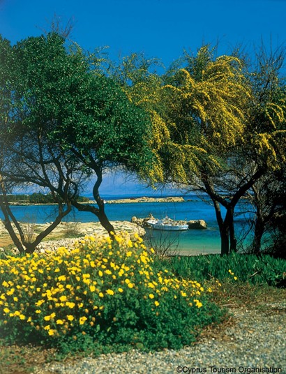 
«Голубой флаг» для Кипра: где искать лучшие пляжи?
