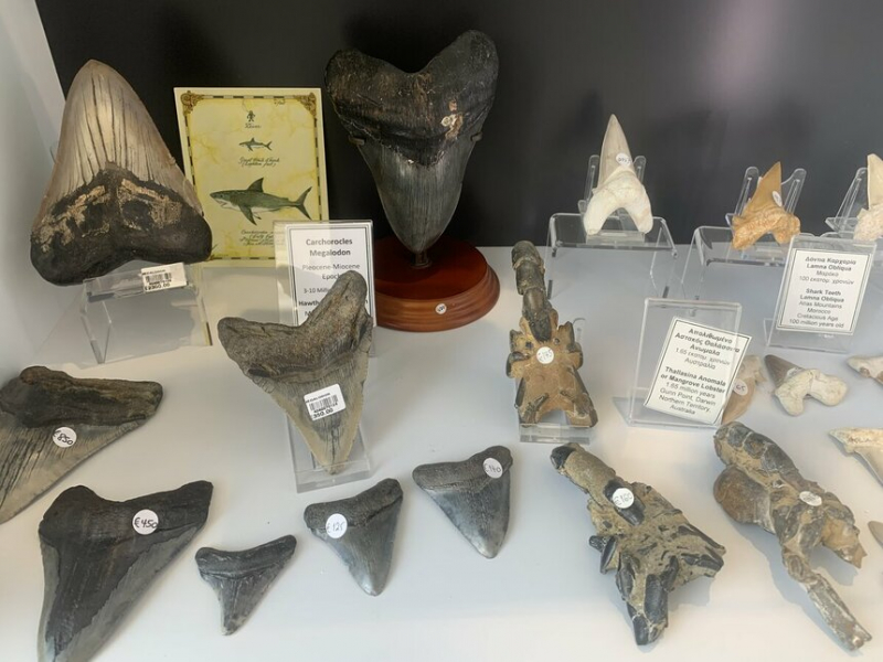 Магазины и тайный музей кипрских «охотников за сокровищами»