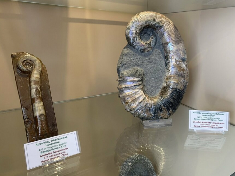 Магазины и тайный музей кипрских «охотников за сокровищами»