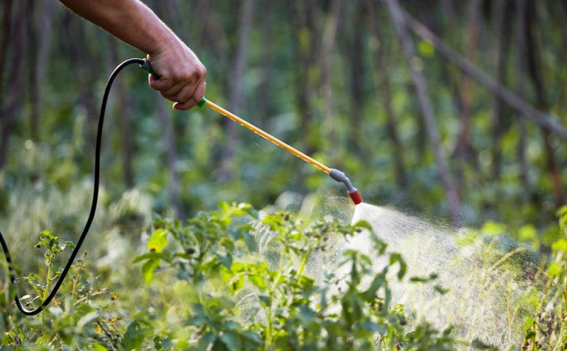 
Кипру понадобилось в два раза больше пестицидов
