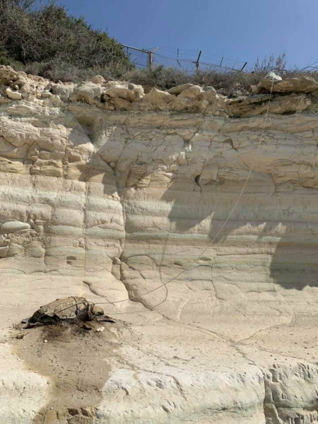 На Кипре найдена мертвая черепаха, привязанная к камням 