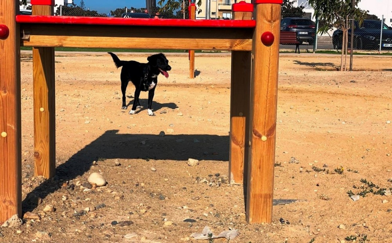 
В Ларнаке открылся собачий парк
