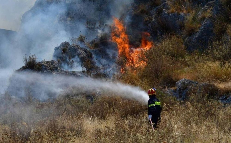 
Осторожно: риск лесных пожаров очень высок
