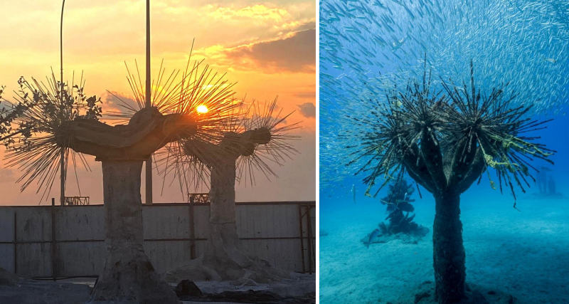 
Айя-Напа открывает подводный музей скульптуры

