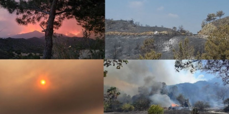 Кипр в огне: что натворил сильнейший в истории острова пожар