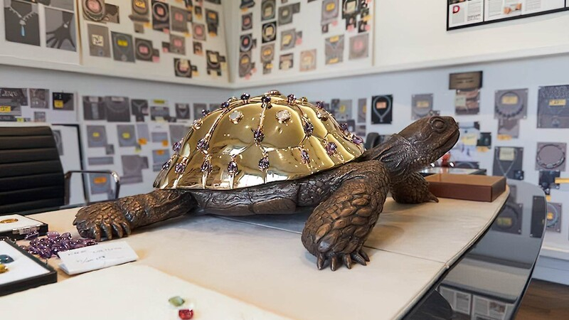 На Кипре появится музей черепах