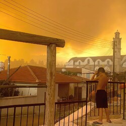 Очень сильны лесной пожар на Кипре привел к жертвам