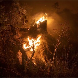 Очень сильны лесной пожар на Кипре привел к жертвам