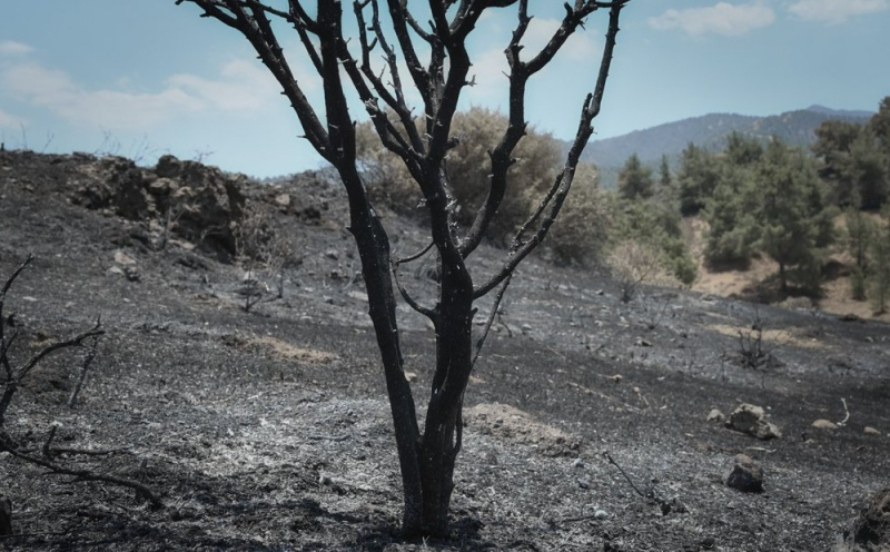 
Пожар в горных районах Лимассола и Ларнаки: битва с пламенем продолжается
