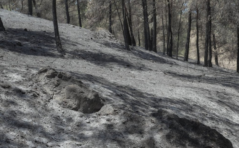 
Пожар в горных районах Лимассола и Ларнаки: битва с пламенем продолжается

