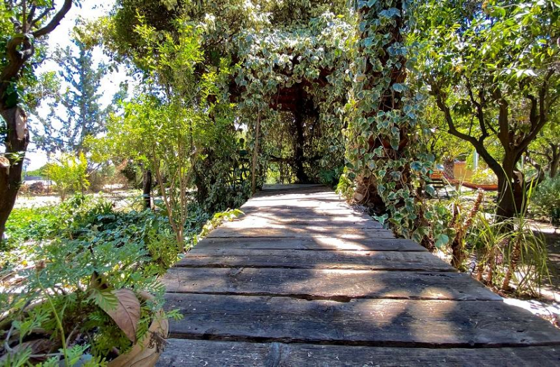 
Ботанический сад «Миристико» для любителей ароматных трав
