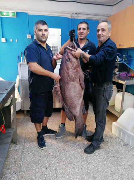 Под Пафосом выловлена 35-килограммовая рыба-гигант