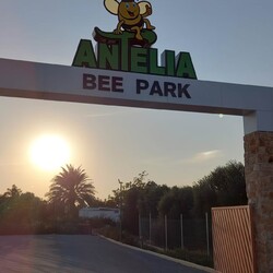 В районе Ларнаки появился уникальный парк пчел