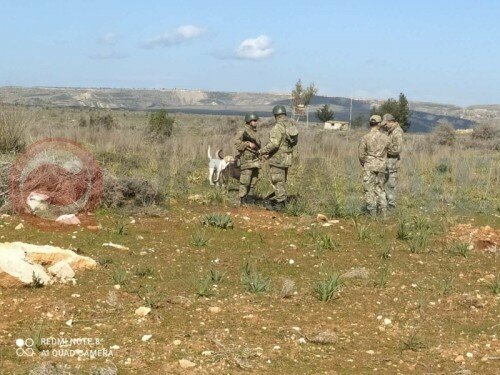 В Дении турецкие солдаты угрожали греко-киприоту автоматами