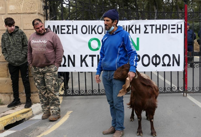 
Фермеры и их животные протестовали в Никосии
