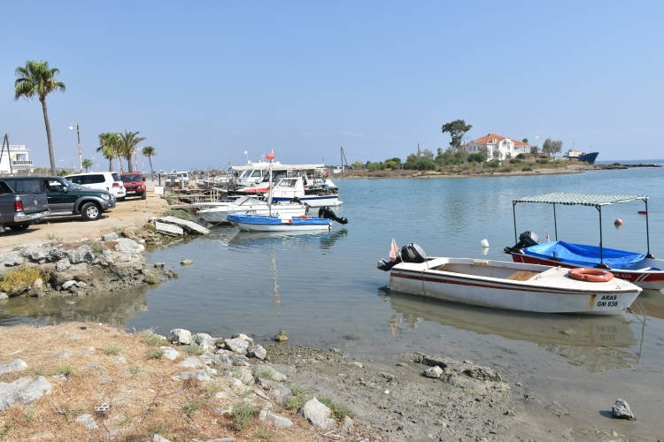 Греко-киприоты отказались закупать рыбу на северной части острова