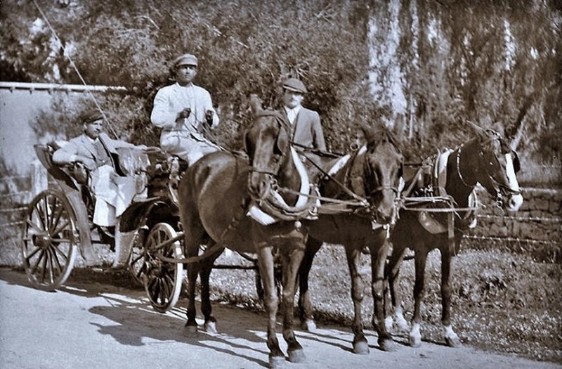
Как киприоты пересели с ослов за руль

