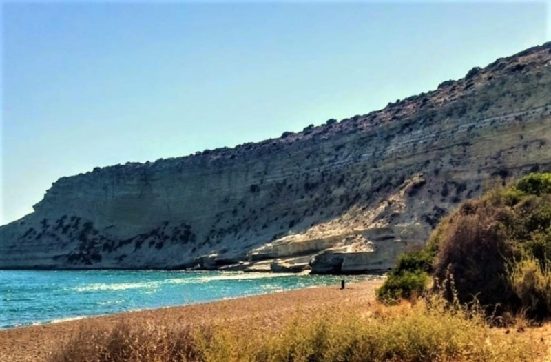 Paramali Turtle Beach - пляж на Кипре, который обожают морские черепахи