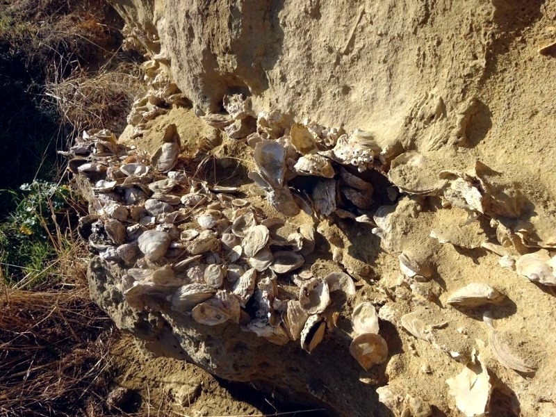 
Ущелье Каккаристра и его палеонтологические находки
